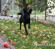 Nuotraukos pavadinimas