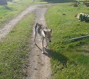 Nuotraukos pavadinimas