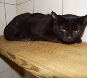Nuotraukos pavadinimas