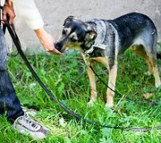 Nuotraukos pavadinimas
