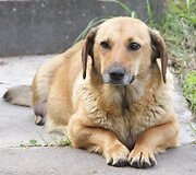 Nuotraukos pavadinimas