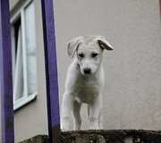 Nuotraukos pavadinimas