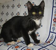 Nuotraukos pavadinimas