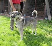 Nuotraukos pavadinimas
