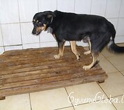 Įkrauk.lt nuotrauka