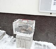 Įkrauk.lt nuotrauka
