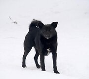Įkrauk.lt nuotrauka