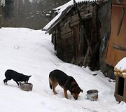 Įkrauk.lt nuotrauka