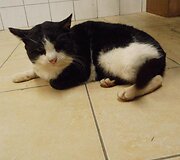 Nuotraukos pavadinimas