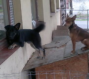 Nuotraukos pavadinimas