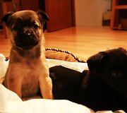 Nuotraukos pavadinimas