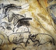 Įkrauk.lt nuotrauka