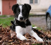 Nuotraukos pavadinimas