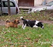 Nuotraukos pavadinimas