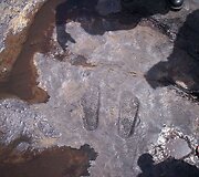 Nuotraukos pavadinimas