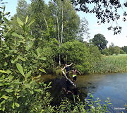 &Scaron;ventė Petrali&scaron;kėje
