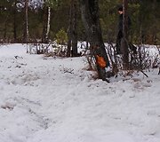 Įkrauk.lt nuotrauka