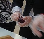 Įkrauk.lt nuotrauka
