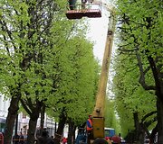 Įkrauk.lt nuotrauka