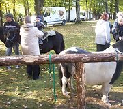 Įkrauk.lt nuotrauka