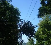 Įkrauk.lt nuotrauka