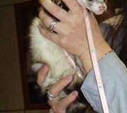 Nuotraukos pavadinimas