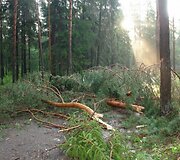 Įkrauk.lt nuotrauka