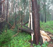 Įkrauk.lt nuotrauka