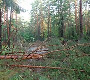 Įkrauk.lt nuotrauka