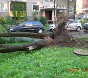 Įkrauk.lt nuotrauka