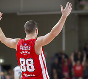 Vytautas &Scaron;ulskis