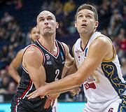 Dovis Bičkauskis