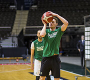 Marius Grigonis