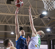 Egidijus Dim&scaron;a