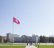 Saulėta sekmadienio popietė Vilniaus centre