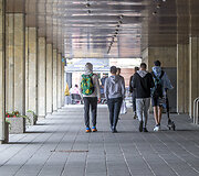 Penktadienis Vilniaus senamiestyje