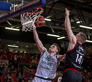 Marius Grigonis
