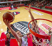 Marius Grigonis