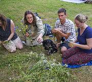 53-oji Rasos &scaron;ventė Kernavėje