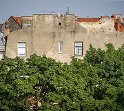 Vilniaus stogai