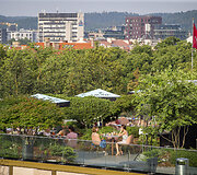 Vilniaus stogai