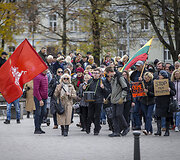 A.G.Astrauskaitė kvietė protestuoti prie&scaron; Vyriausybės neva vykdomą represinę politiką