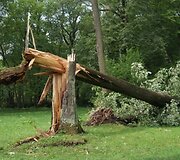 Įkrauk.lt nuotrauka