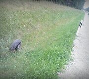 Įkrauk.lt nuotrauka