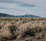 Nevada