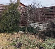 Kiemas prie&scaron; atnaujinimą