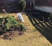 Kiemas po atnaujinimo