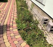 Kiemas po atnaujinimo