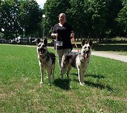 Rugilė augina Rytų Europos aviganius