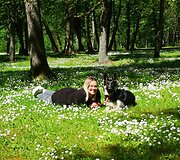Rugilė augina Rytų Europos aviganius